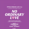 No Ordinary Love