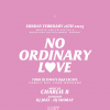 No Ordinary Love