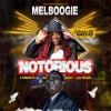 NOTORIOUS - A Tribute to The Late, Great Biggie Smalls