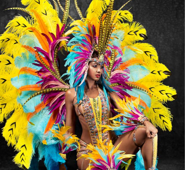 Rio Carnival Costume