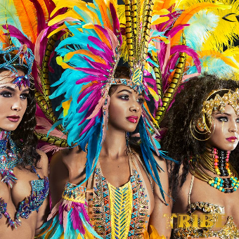 Carnival Costume 2019