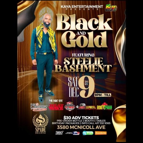 Steelie Bashment ( Black & Gold Edition)