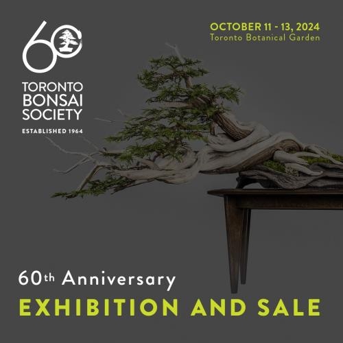 Toronto Bonsai Society 60th Anniversary Exhibition and Sale