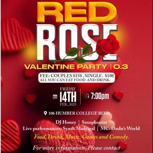 RED ROSE VALENTINE PARTY 0.3