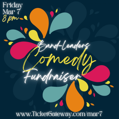 STAND UP (comedy fundraiser)