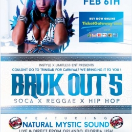 BRUK OUT 5