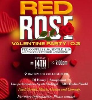 RED ROSE VALENTINE PARTY 0.3 