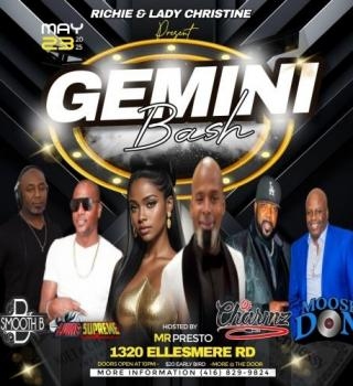 Gemini Bash 